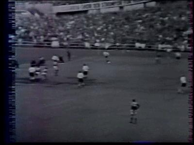 1958年瑞典世界杯,第6届世界杯足球赛